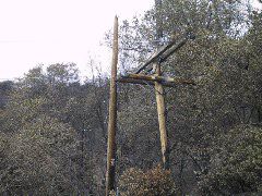 broken telephone pole